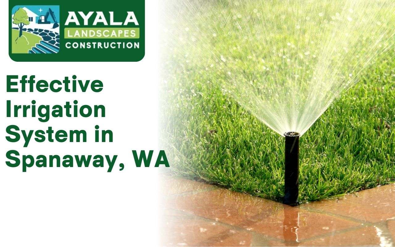 An effective irrigation system keeping a Spanaway lawn green.