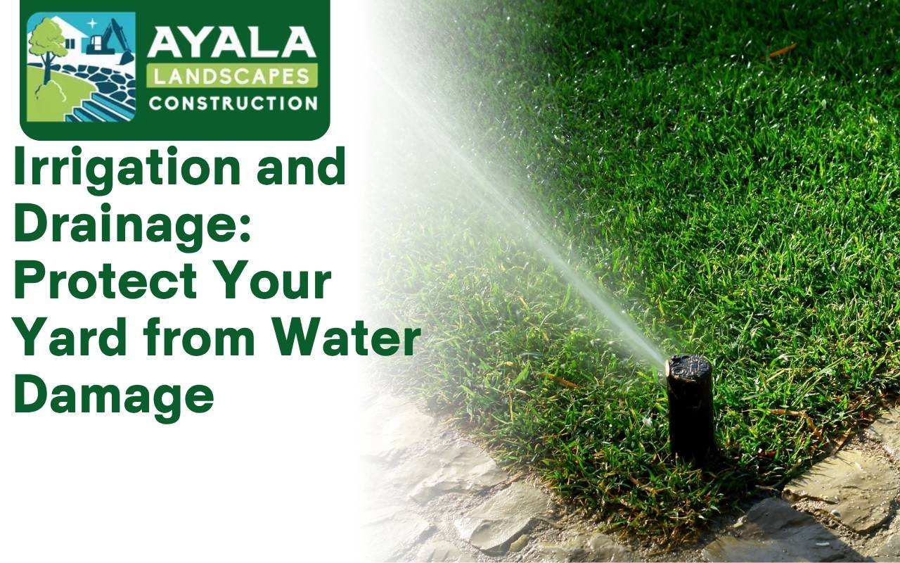 Lawn with sprinkler system running during early morning