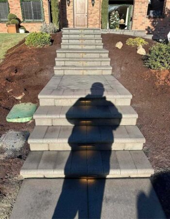 Ayala Landscapes Construction LLC - Gallery 8