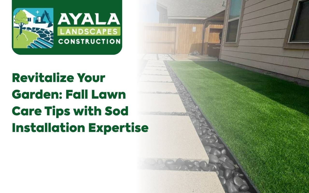 Expert fall sod care and maintenance tips