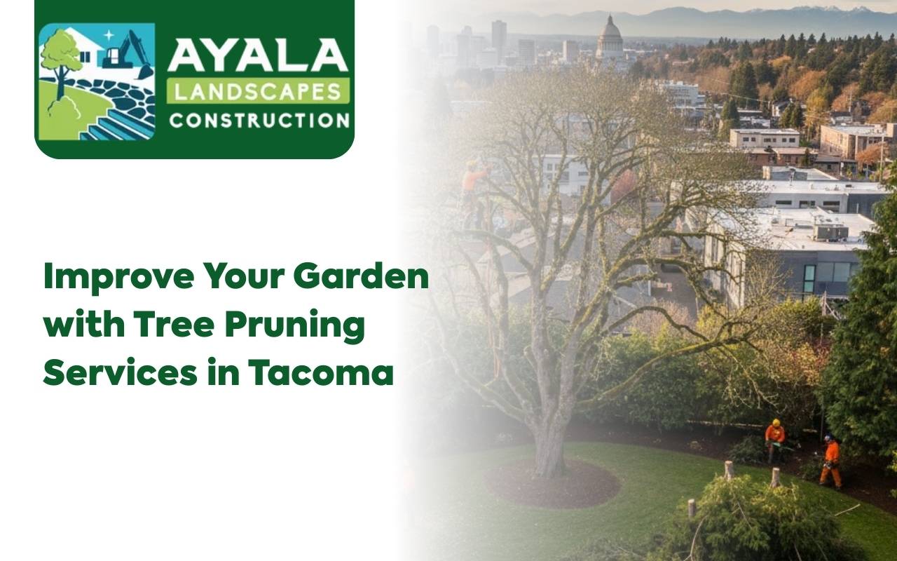 Backyard trees after professional Tree Pruning Services in Tacoma enhancing garden sunlight and airflow.