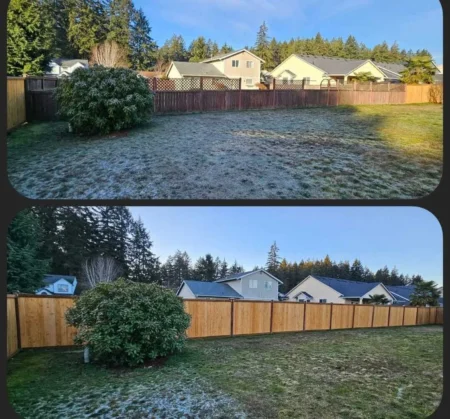 before-after-ayala-landscapes-construction-llc -1