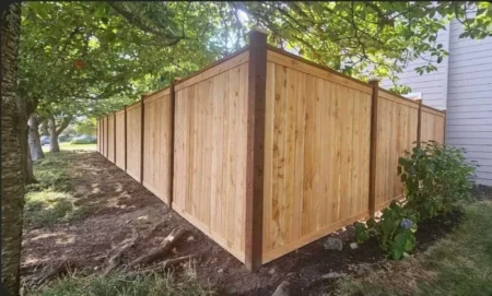 before-after-ayala-landscapes-construction-llc -10