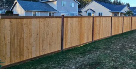 before-after-ayala-landscapes-construction-llc -11