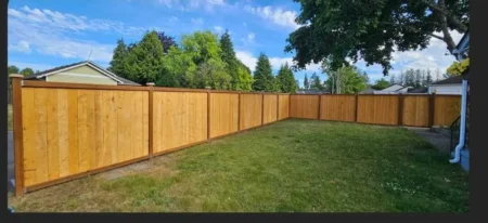 before-after-ayala-landscapes-construction-llc -3