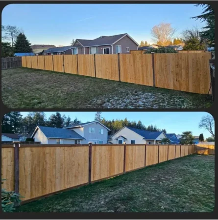 before-after-ayala-landscapes-construction-llc -5