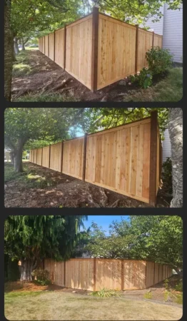 before-after-ayala-landscapes-construction-llc -8