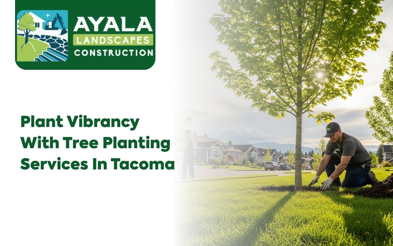 Tree planting services in Tacoma for a greener home yard