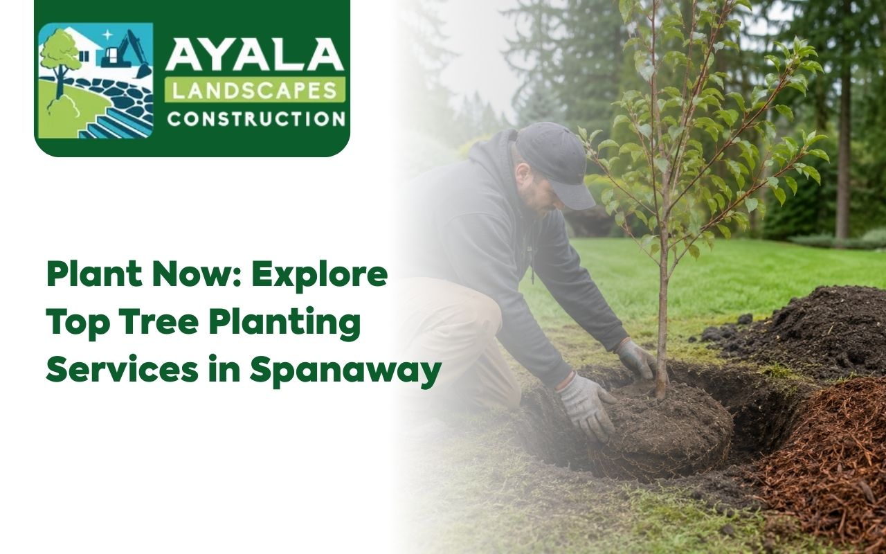 Tree planting services in Spanaway for a greener residential yard